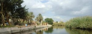الأهرام الدولي II القرية الفرعونية: حكاية مكان في القاهرة بدأ بـ 5000 شجرة