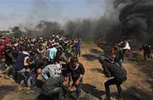 قتيلان فلسطينيان ونحو 100 جريح برصاص جيش الاحتلال في غزة