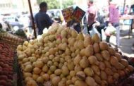 السعودية ترفع حظر استيراد الجوافة من مصر