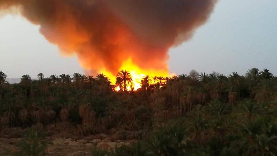 حريق هائل يلتهم مزارع إحدي قري الراشدة بمركز الداخله