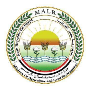 الحبس وإعدام الدواٍجن..  قانون حٍظر تداول الطيور الحية