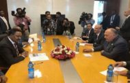 مصر وإثيوبيا تبحثان تطورات مفاوضات سد النهضة