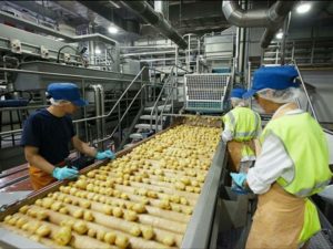 ١١٠ مصنع غذائى مصرى ينتظر الموافقة للتصدير إلى السعودية