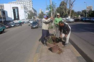 تطوير و تجميل شارع النيل بالدقي والعجوزة