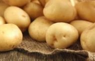 ارتفاع صادرات مصر من البطاطس