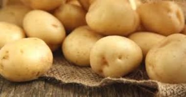 ارتفاع صادرات مصر من البطاطس
