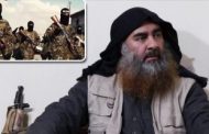 اعتقال عضو بارز في تنظيم داعش الإرهابي شمالي أفغانستان