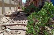 مذبحة الاشجار بقرية كفر الجزار ببنها أمام النيابة
