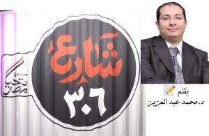 تجربة شارع 306 وشركة مصر أكسبريس وصندوق تحيا مصر لدمج الاقتصاد غير الرسمي في الاقتصاد الرسمي بقلم: د.محمد عبدالعزيز .