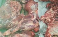 نيابة البحر الأحمر تأمر ببيع 1250 كجم من اللحوم