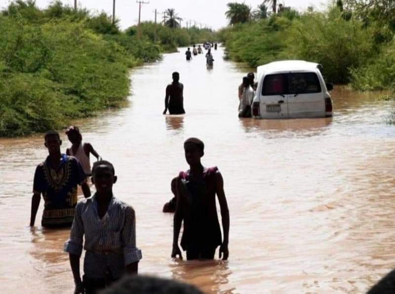 المملكة ترسل أولى طلائع الجسر الجوي الإغاثي إلى المناطق المتضررة في السودان