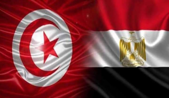 السيسي يتلقي اتصالاً هاتفياً من الرئيس التونسى قيس سعيد