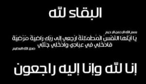 محافظ قنا : بدء موسم توريد القمح المحلي بالمحافظة