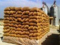 إزالة 30 حالة تعدي على الاراضي الزراعية بالعركي في فرشوط
