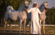 أحمد آل ثاني: الاستثمار في تربية الخيول فرصة ذهبية ومصدر كبير للدخل