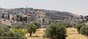 وادي السيليكون. مشروع إسرائيلي للإنشاءات بالقدس الشرقية
