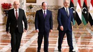 الجالية المصرية بهولندا تعلن دعمها لما تتخذه القيادة السياسية من قرارات لحماية الأمن القومى 