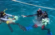 وزارة البيئة تنظم حملة نظافة موسعة تحت الماء بالبحر الأحمر