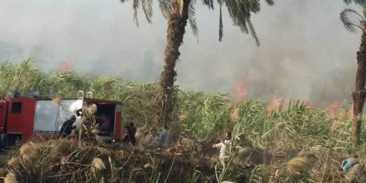 الحماية المدنية تتمكن من السيطرة على حريقين بمحاصيل القصب في قرية السمطا بدشنا ومركز الوقف