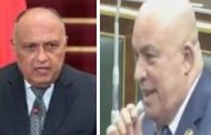 النائب خالد طايع يشيد بكلمة الوزير سامح شكري خلال جلسة مجلس الأمن