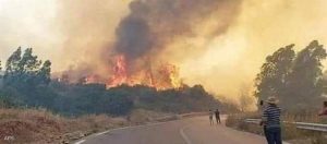 فرق الإنقاذ تعمل على إخماد الحرائق باالجزائر