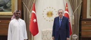 أردوغان مع الشيخ طحنون بن زايد ووفد إماراتي 
