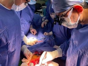 فريق جراحة القلب المفتوح بمستشفيات جامعة المنوفية ينجح في إنقاذ حياة مريض تعرض لإنفجار الشريان الأورطي
