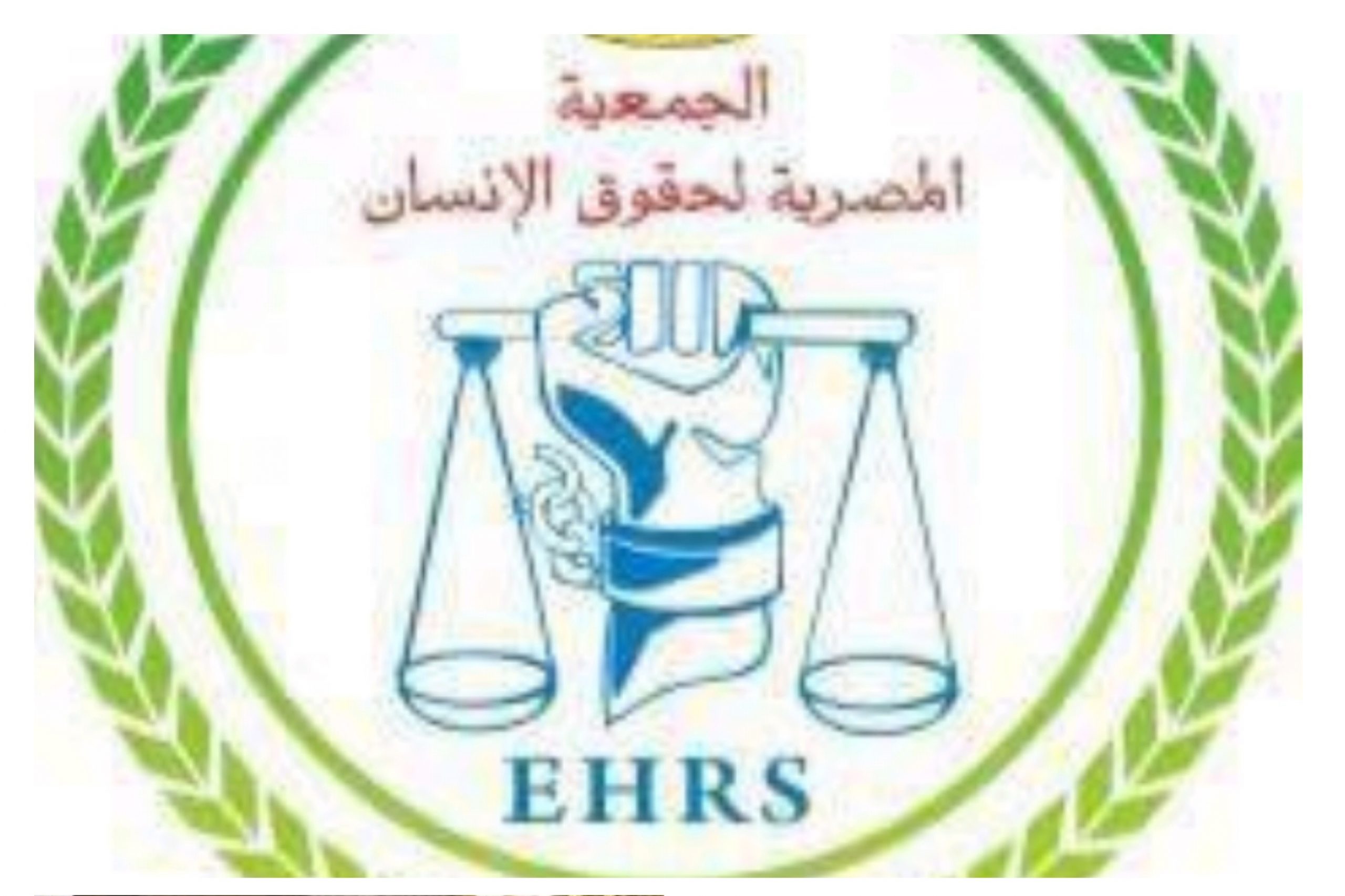 الجمعية المصرية لحقوق الإنسان وإنجازات واضحة