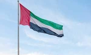 مؤسسات دولية ودول عربية ادنت استهداف ميليشيات الحوثي الإرهابية لمنشآت مدنية في الإمارات