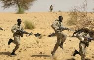 عشرات القتلى والجرحى فى هجمات إرهابية بمالى وبوركينا فاسو
