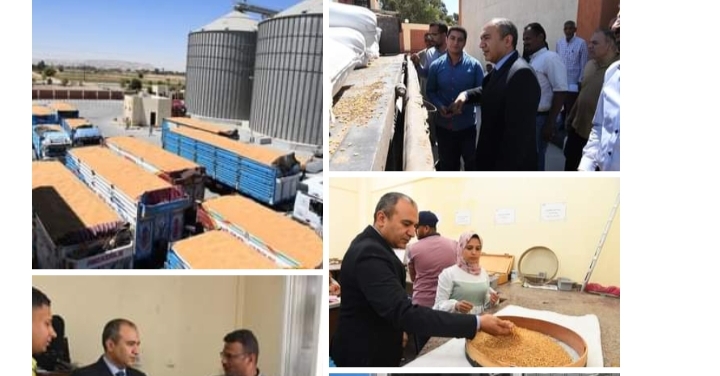 محافظ قنا يكلف السكرتير المساعد متابعة استلام محصول القمح بصومعة المراشدة