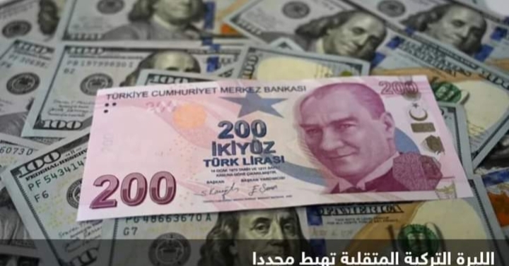 خسائر الليرة التركية تصل إلى 5% انام الدولار