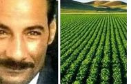 ماهى أهمية الزراعة فى مصر؟