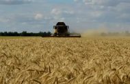وزارة الدفاع الروسية وثيقة نهائية ستكون جاهزة قريبا للسماح بتصدير الحبوب من أوكرانيا