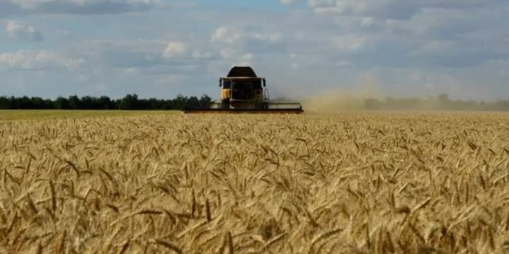 وزارة الدفاع الروسية وثيقة نهائية ستكون جاهزة قريبا للسماح بتصدير الحبوب من أوكرانيا