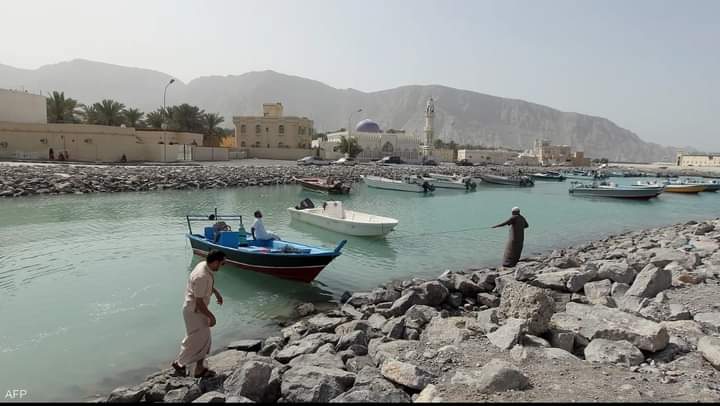 عمان انتاج الاسماك ينخفض 22.4 بالمئة في 10 أشهر
