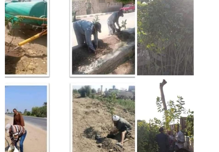وزير الزراعة: الانتهاء من المرحلة الأولى لمبادرة الرئيس السيسي زراعة 100 مليون شجرة