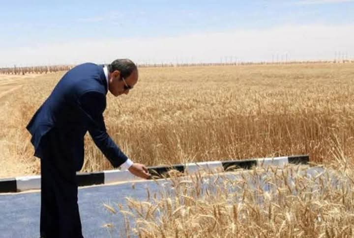 اليوم الرئيس السيسي يشهد موسم حصاد القمح ويتفقد مدينة مستقبل مصر الصناعية