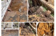 سكان حدائق الأهرام يناشدون المسؤولين بالجيزة: 