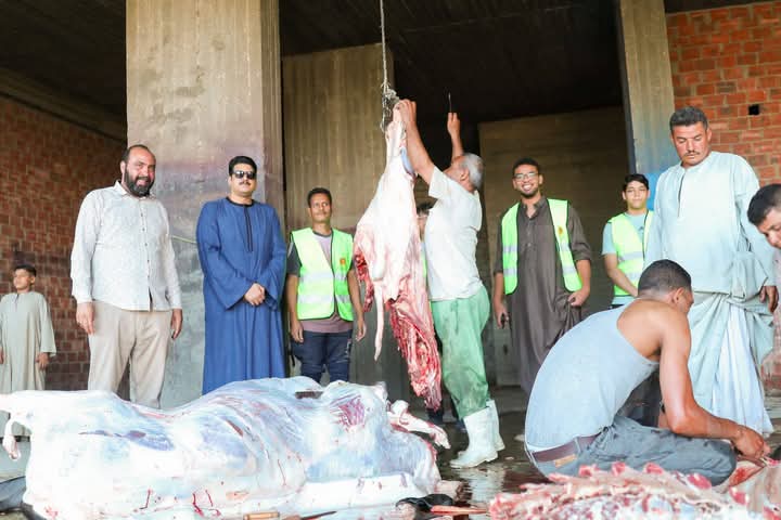 حزب الشعب الجمهوري بقنا يوزع لحومًا بلدية على الأسر الأولى بالرعاية في أول أيام عيد الأضحى