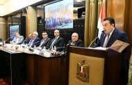 الخبير الدستورى 