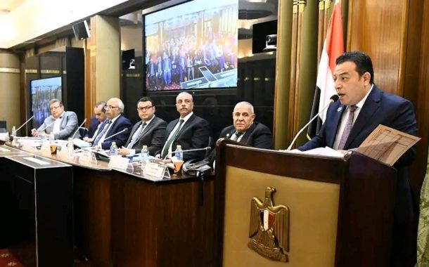 الخبير الدستورى 