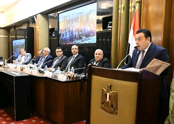 الخبير الدستورى 