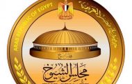 الإئتلاف المصري لحقوق الإنسان