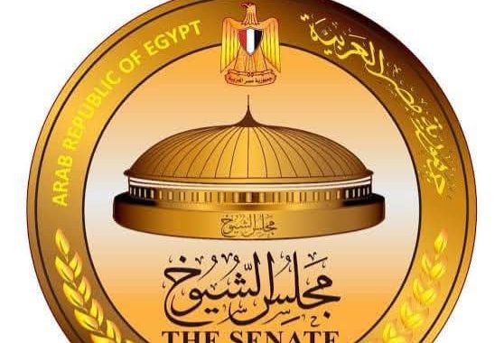 الإئتلاف المصري لحقوق الإنسان