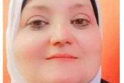 الرد على الإساءة بين الشهرة والتقزيم