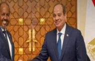 مصر والصومال تؤكدان التزامهما بمواصلة التنسيق فى إطار بروتوكول التعاون العسكرى