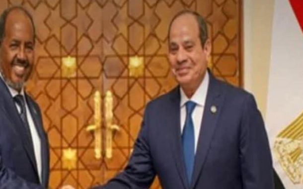 مصر والصومال تؤكدان التزامهما بمواصلة التنسيق فى إطار بروتوكول التعاون العسكرى