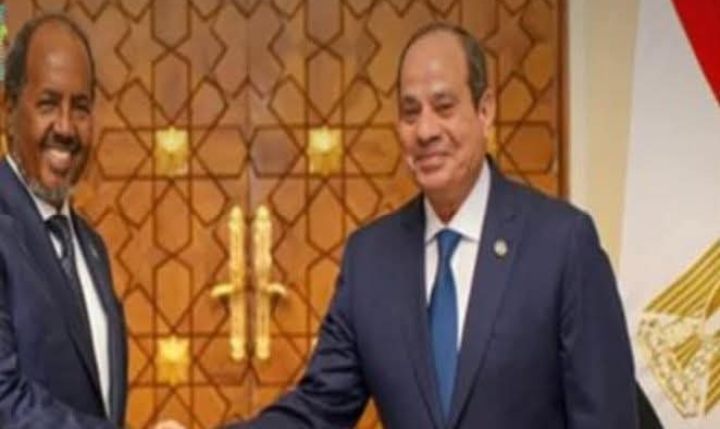 مصر والصومال تؤكدان التزامهما بمواصلة التنسيق فى إطار بروتوكول التعاون العسكرى