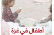 أطفال غزة وأمهاتهم يأكلون القمامة